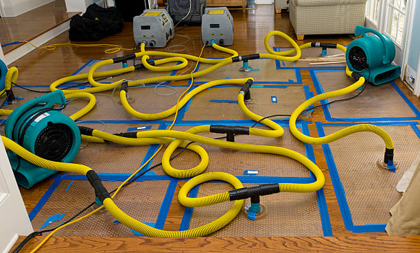 Professional Crawl Space Water Removal technician working in Pell City, AL